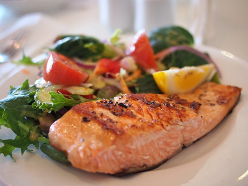 salmon, fish, seafood-